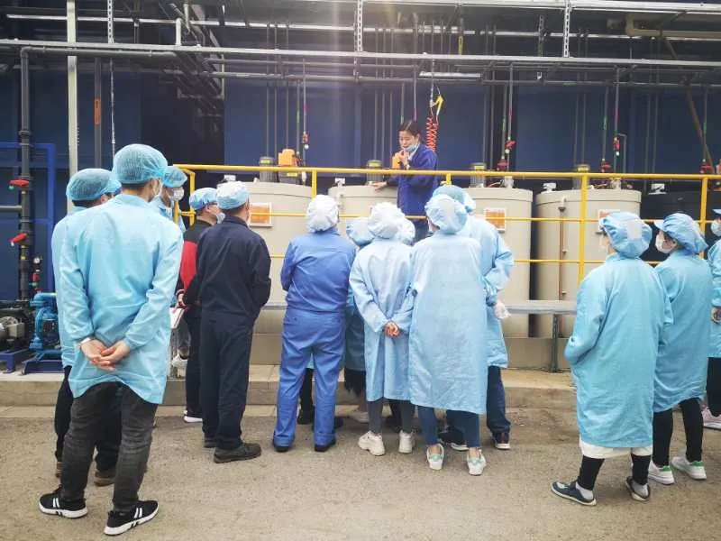 918博天堂注重人才培养