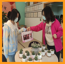 918博天堂祝大家女神节快乐