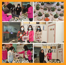 致敬918博天堂环保的女卫士们