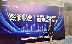 918博天堂出席中国专精特新企业冠军之路座谈会